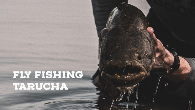Fly Fishing Tarucha - Nove Outdoors