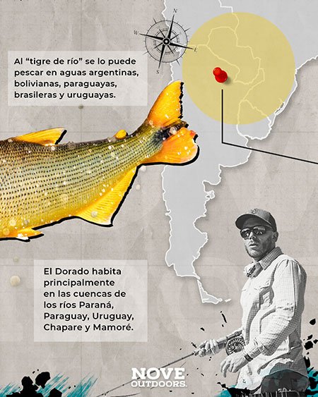 Golden Dorado - El rey del agua dulce de Sudamérica - Infografía Parte 2
