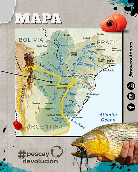 Golden Dorado - El rey del agua dulce de Sudamérica - Infografía Parte 3