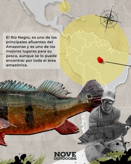 Infografía-Tucunare-02-449x561px