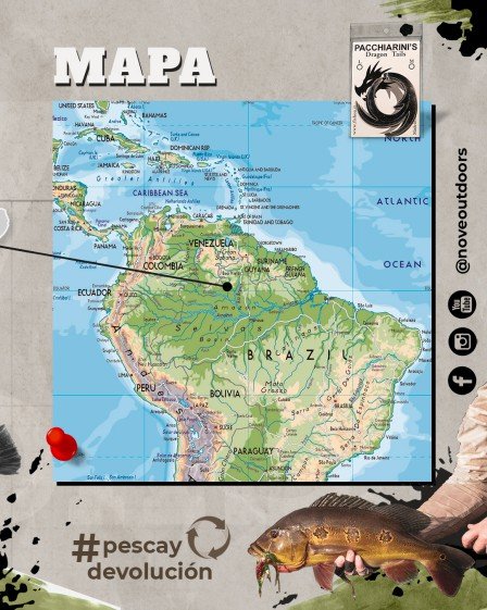 Infografía-Tucunare-03-449x561px