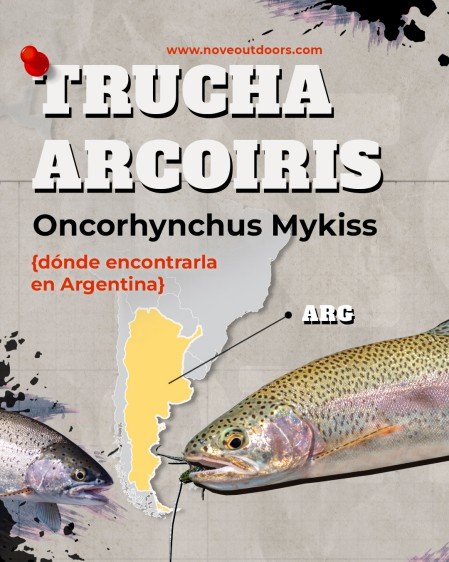 1-Infografía-Trucha-arcoiris-noveoutdoors-449x561px