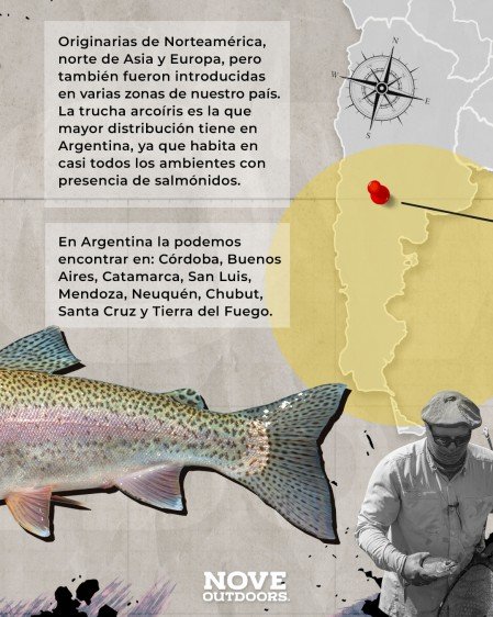 2-Infografía-Trucha-arcoiris-noveoutdoors-449x561px