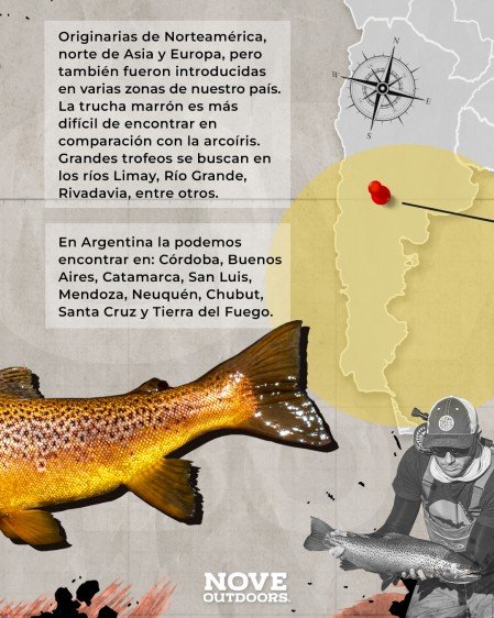 2-Infografía-Trucha-marron-noveoutdoors-449x561px