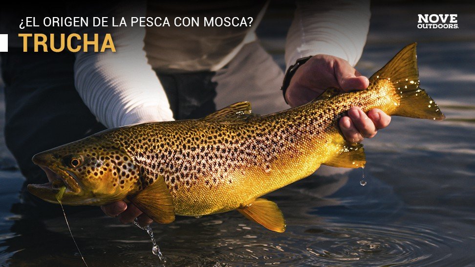Pesca con mosca en Mendoza