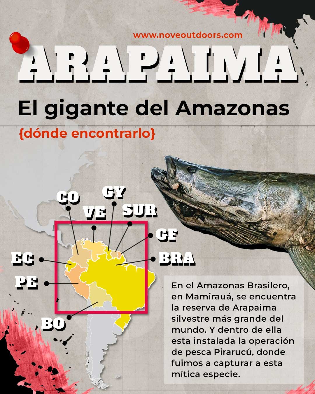 4-Infografía-Arapaima-Amazonas-NOVE_Outdoors-1080x1350px