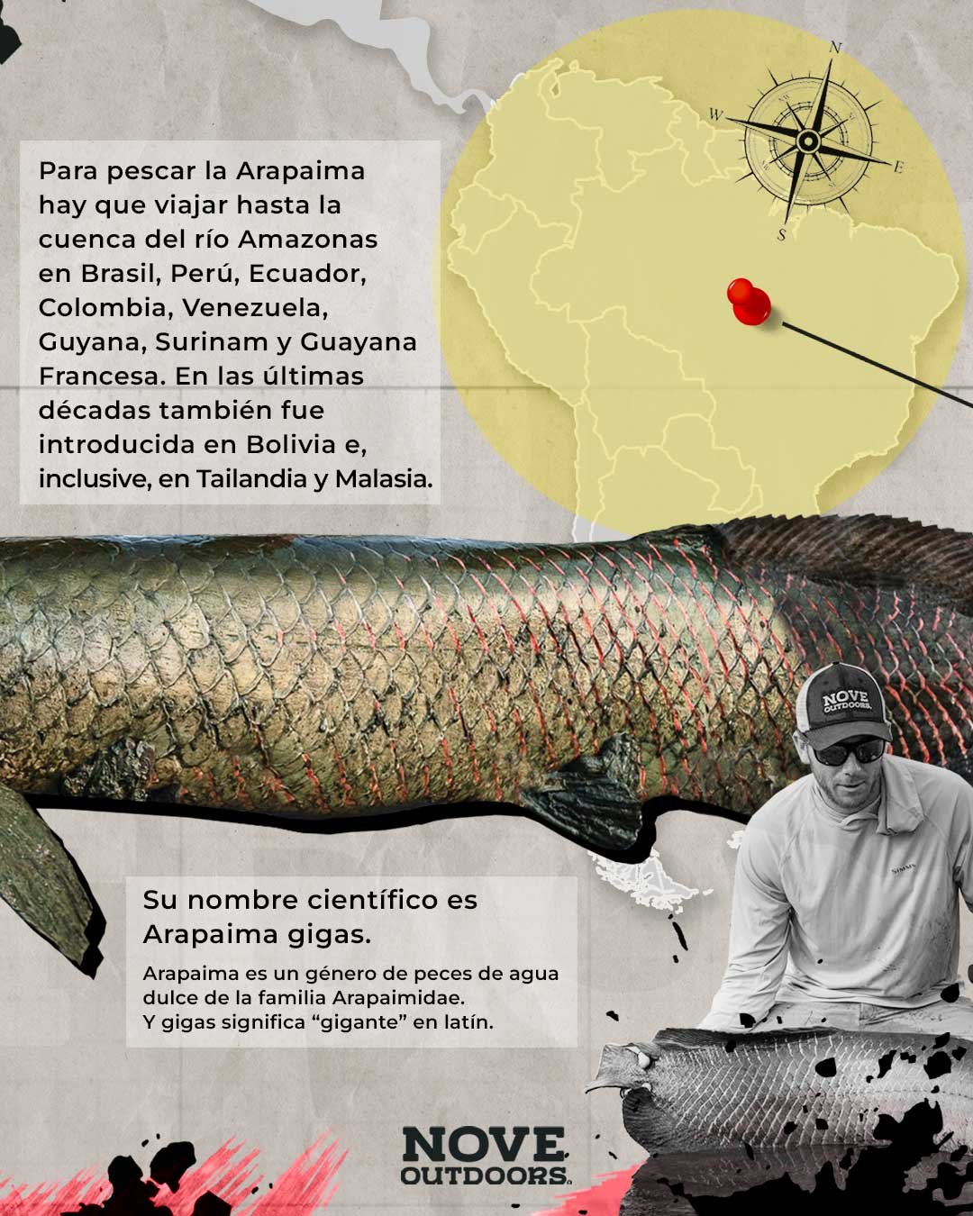 5-Infografía-Arapaima-Amazonas-NOVE_Outdoors-1080x1350px